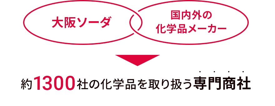 概略図